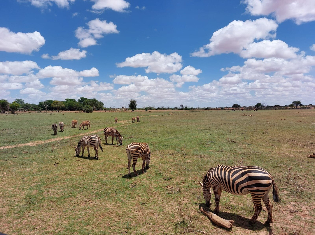 Elara luxury Safaris-蒙巴萨必去景点