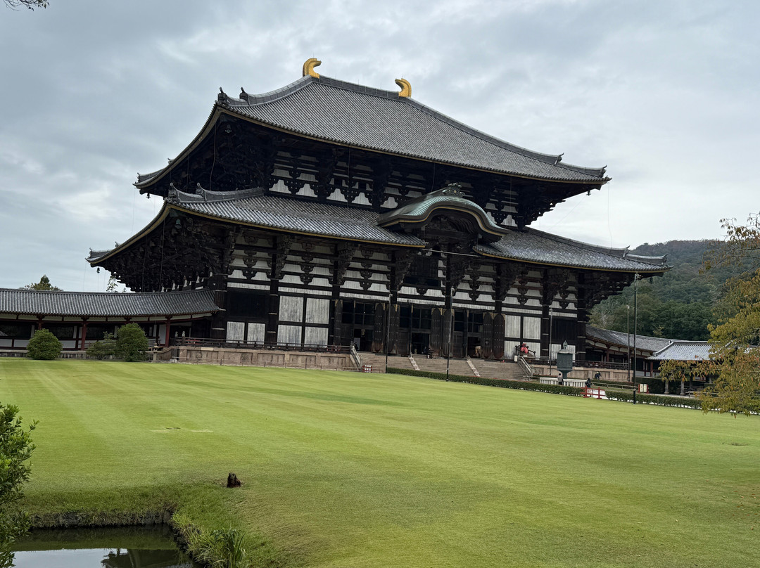 Todaiji Temple Cultural Center-奈良市必去景点
