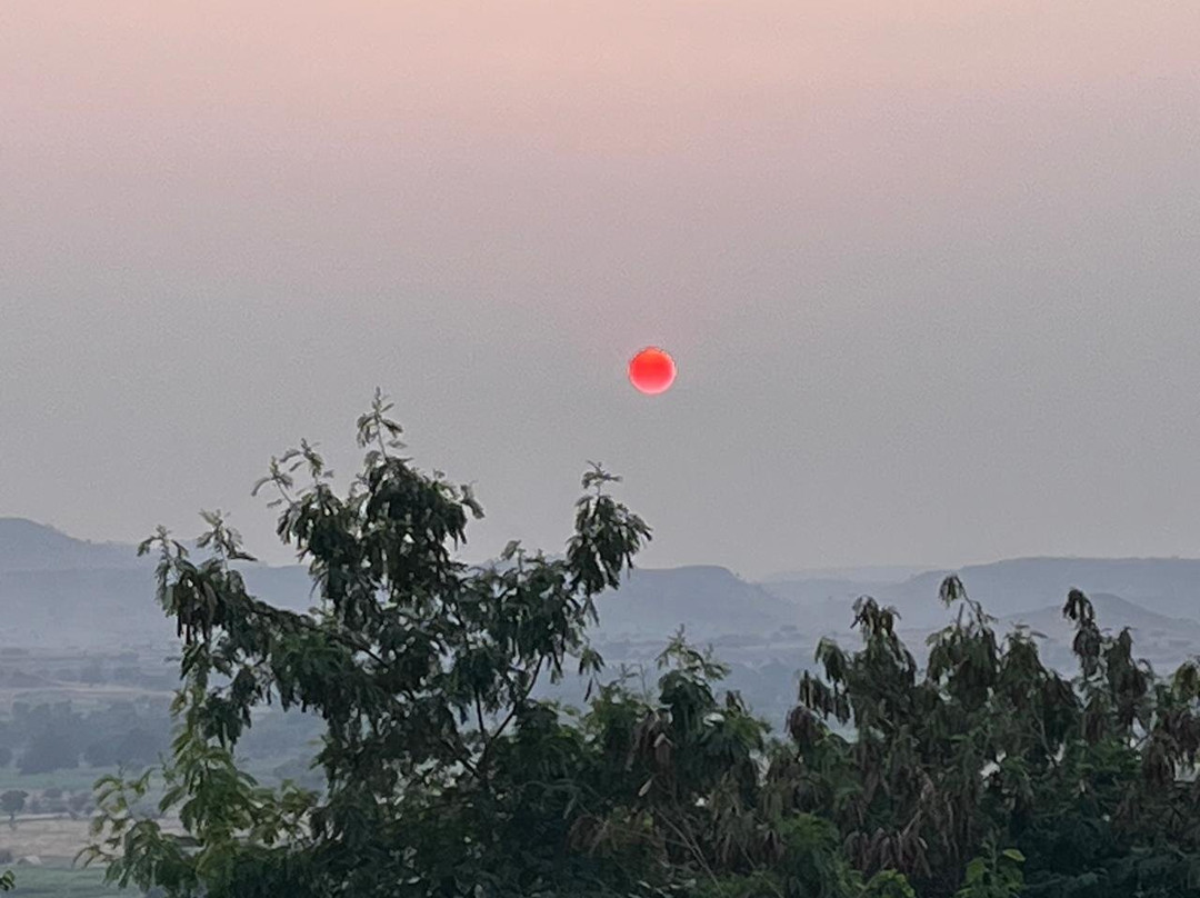 Fratelli Wines主图