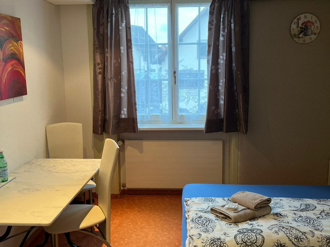 Hotel Baren Amriswil主图