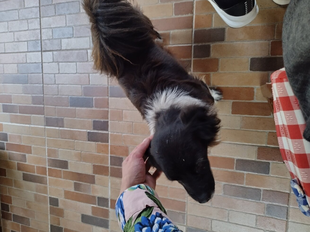 Casa das Ilhas主图