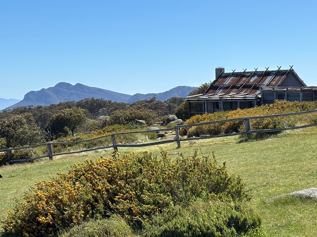 Australis 4WD Adventures-曼斯菲尔德必去景点