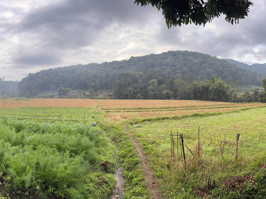 Bussadee Tour - Day Tours-山甘烹必去景点