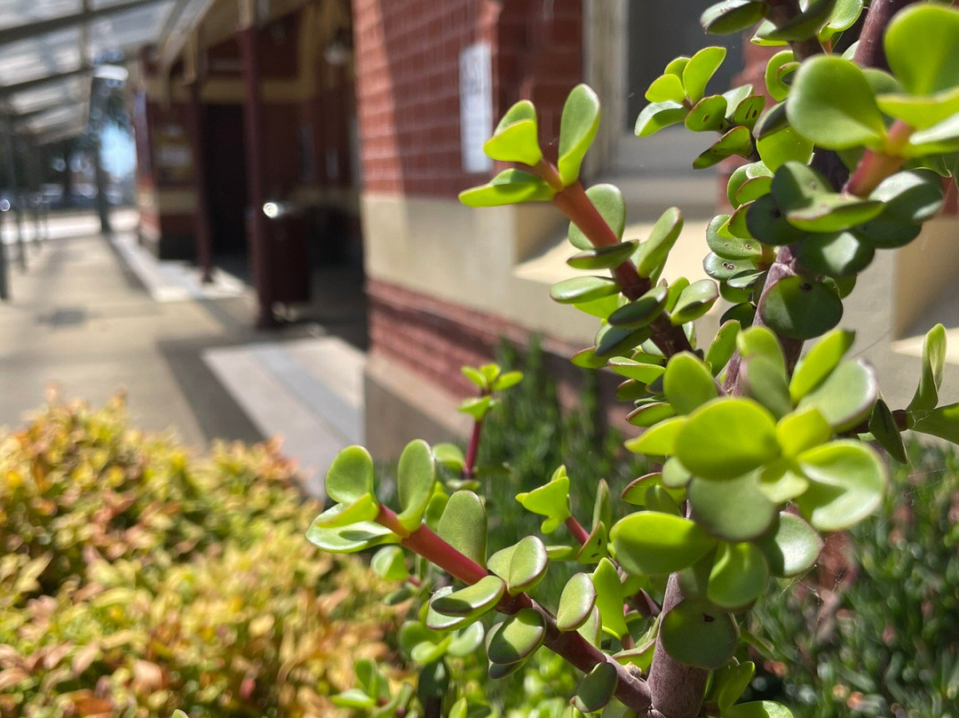 Bairnsdale Railway Station景点图片