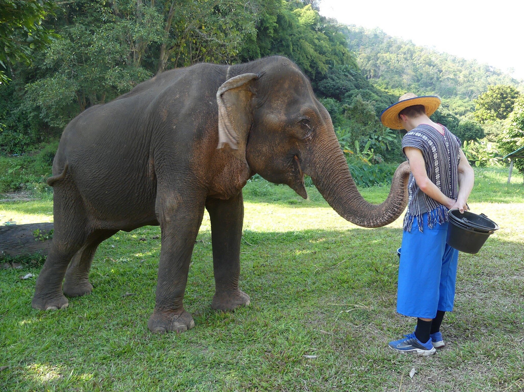 Doi Lom Elephant Rescue Sanctuary景点图片