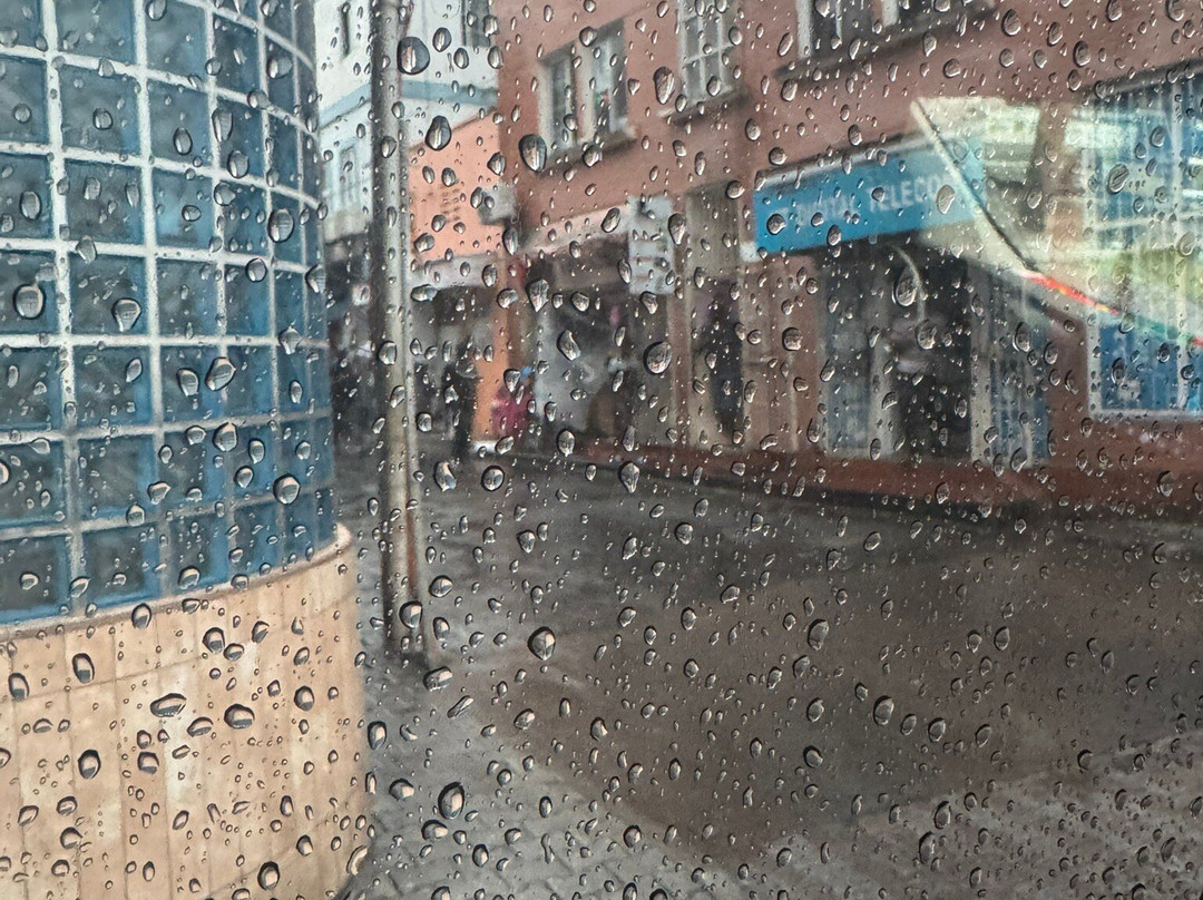 Epic Taxi & Tours-St. George's必去景点