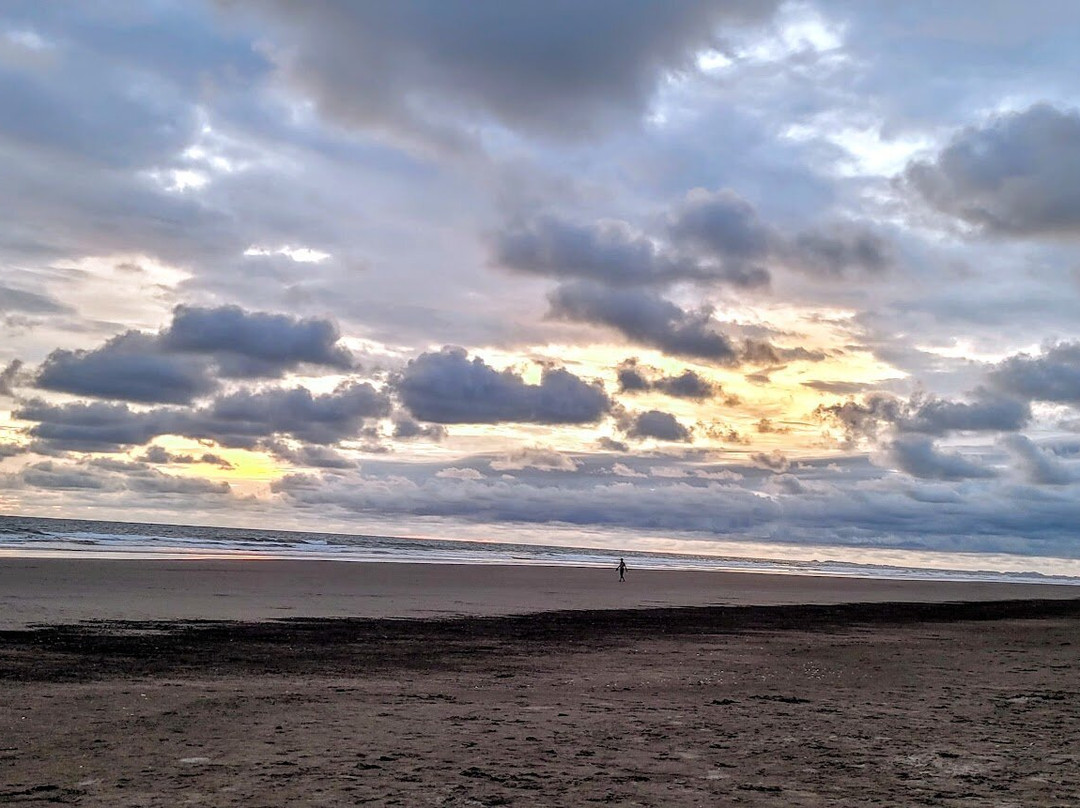 Las Lajas Beach Resort主图