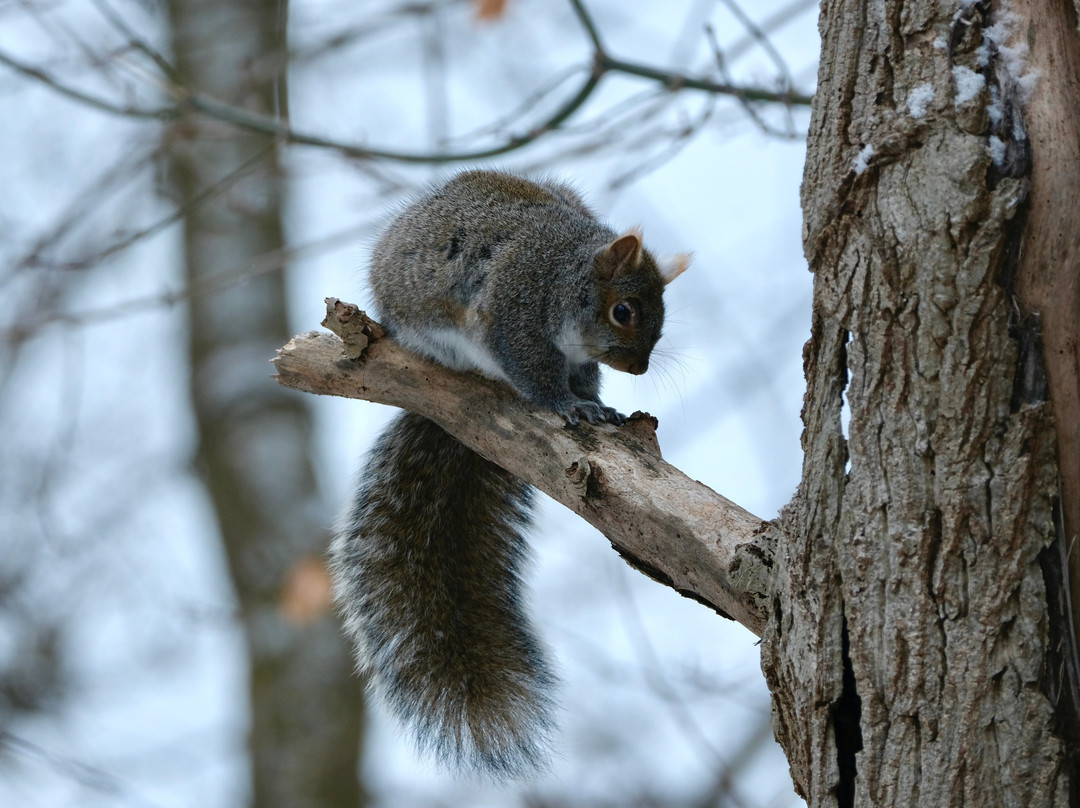 Malcolmson Park-圣凯瑟琳斯必去景点
