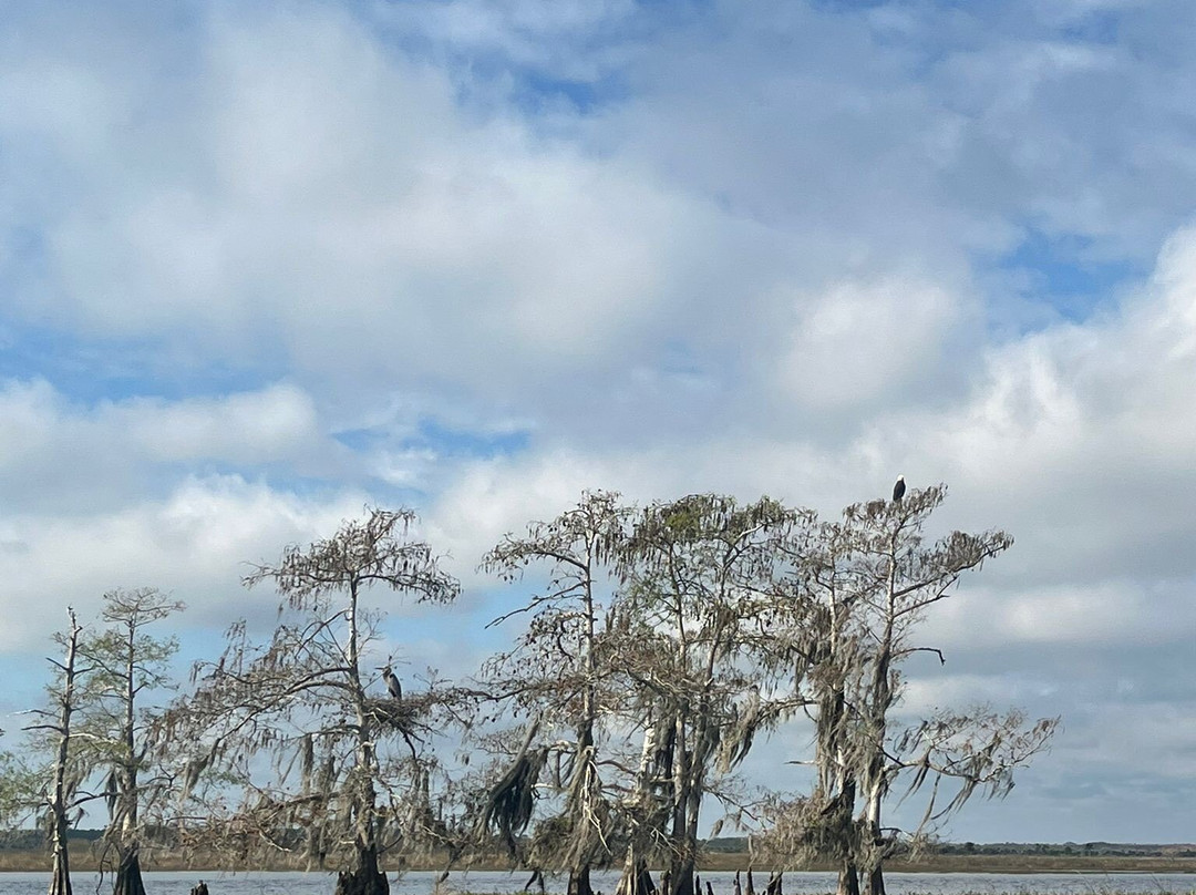 AirBoat Rides at Midway景点图片