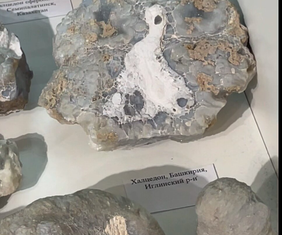 Museum of Stone and Minerals in Novorossiysk-Novorossiysk必去景点