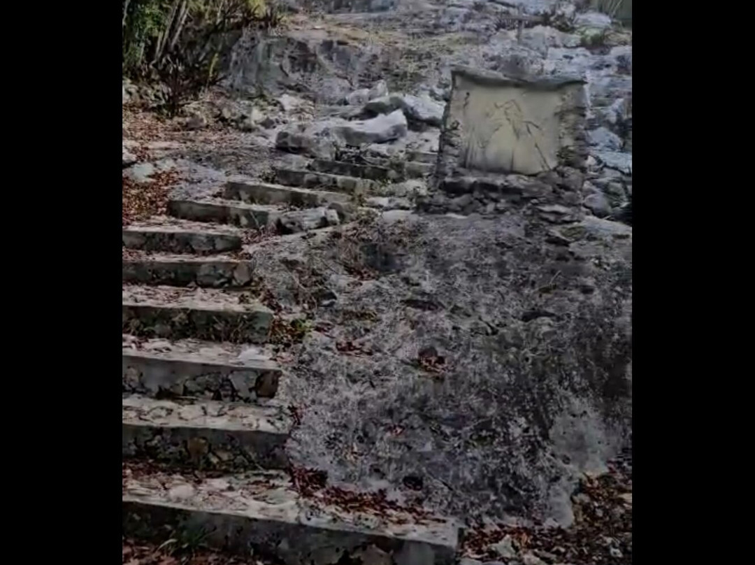 Cat Island Experience-Cat Island必去景点