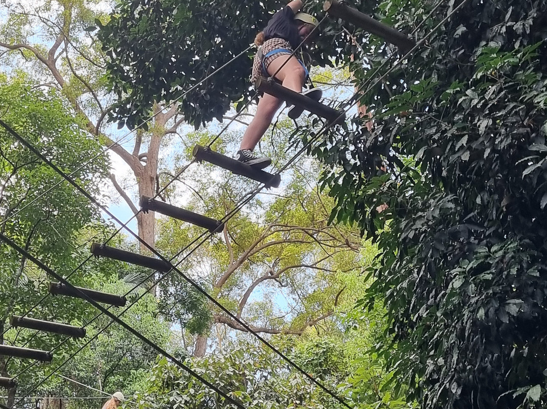 TreeTop Challenge景点图片