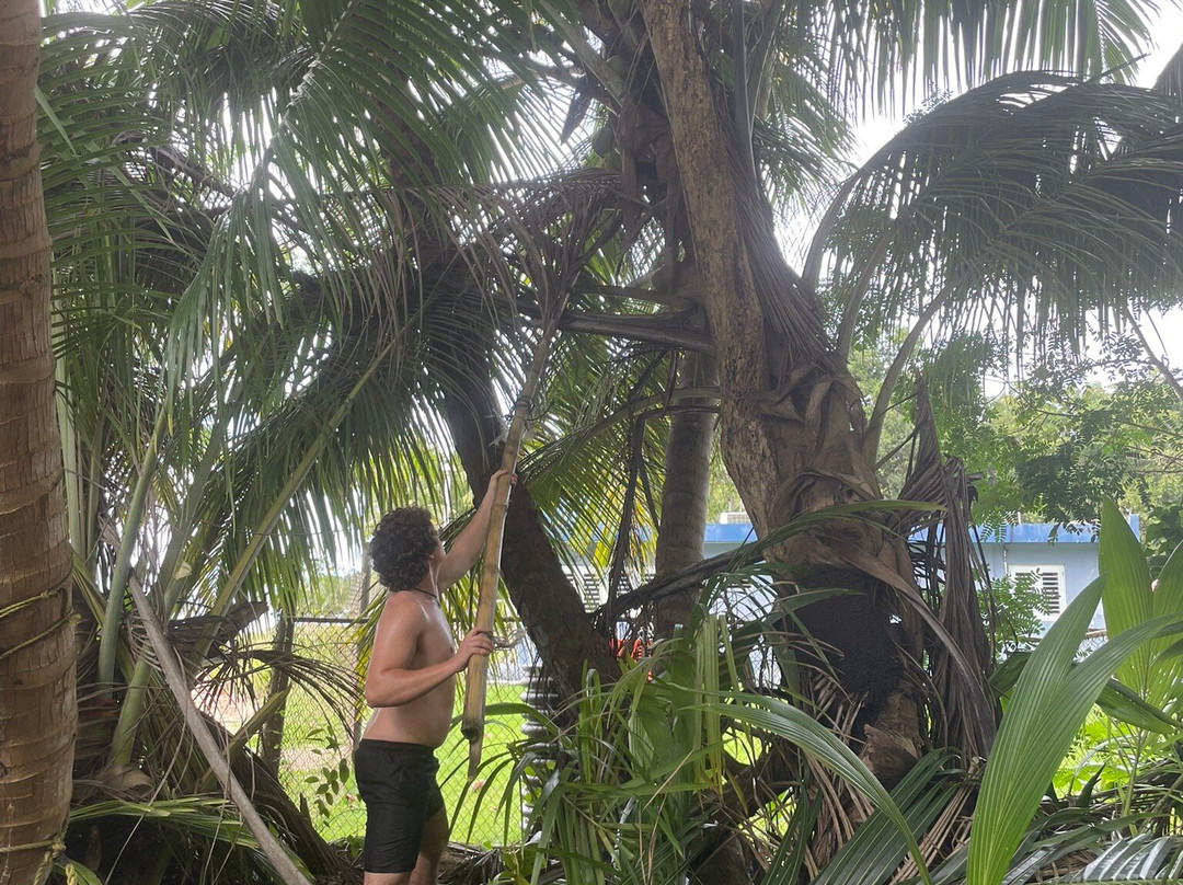 Parque Nacional Tres Hermanos-Anasco必去景点