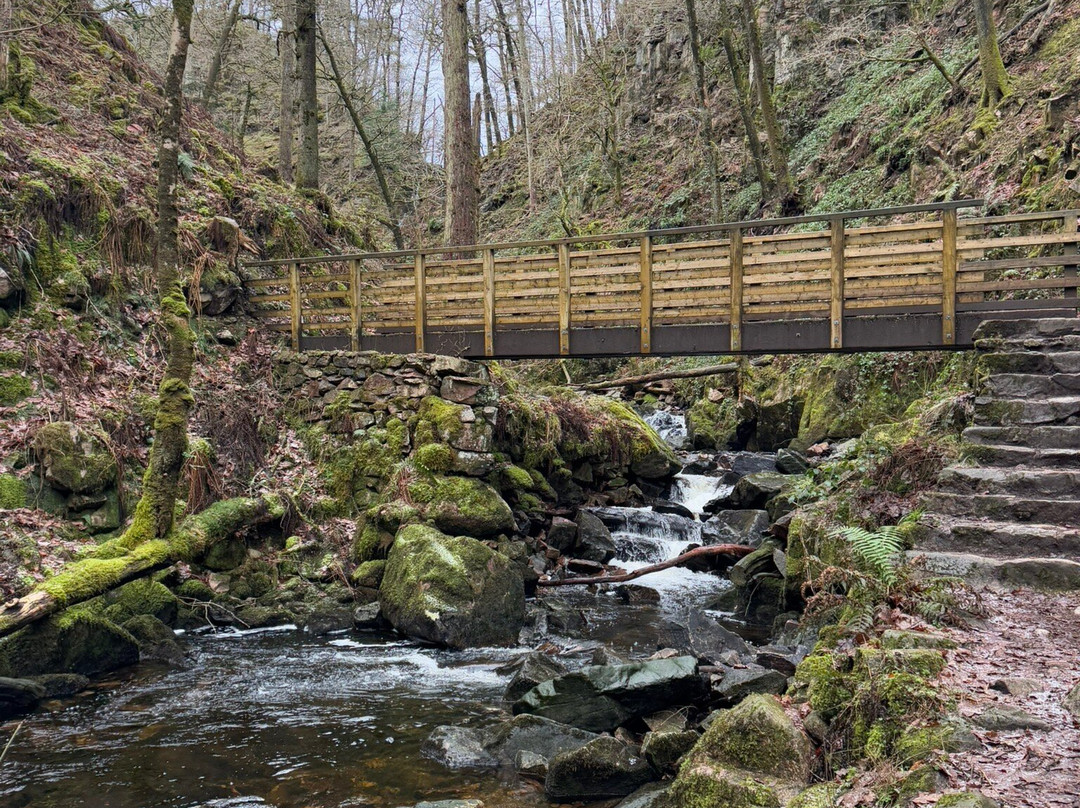 Stanley Ghyll Force Waterfall景点图片