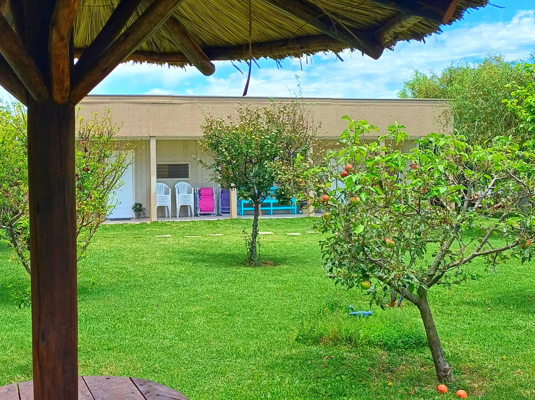 Rincon del Alma主图