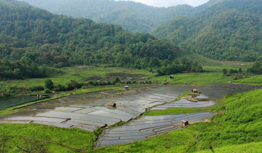 Dzuleke Village景点图片