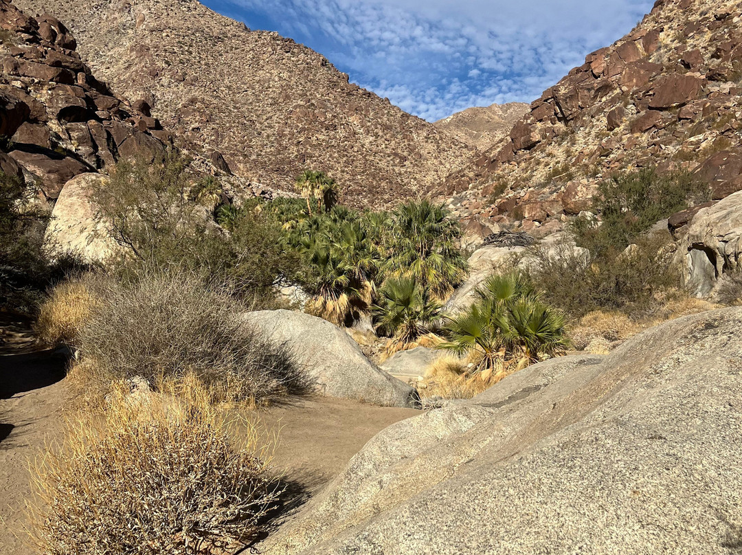 Borrego Palm Canyon Nature Trail-波瑞戈泉必去景点