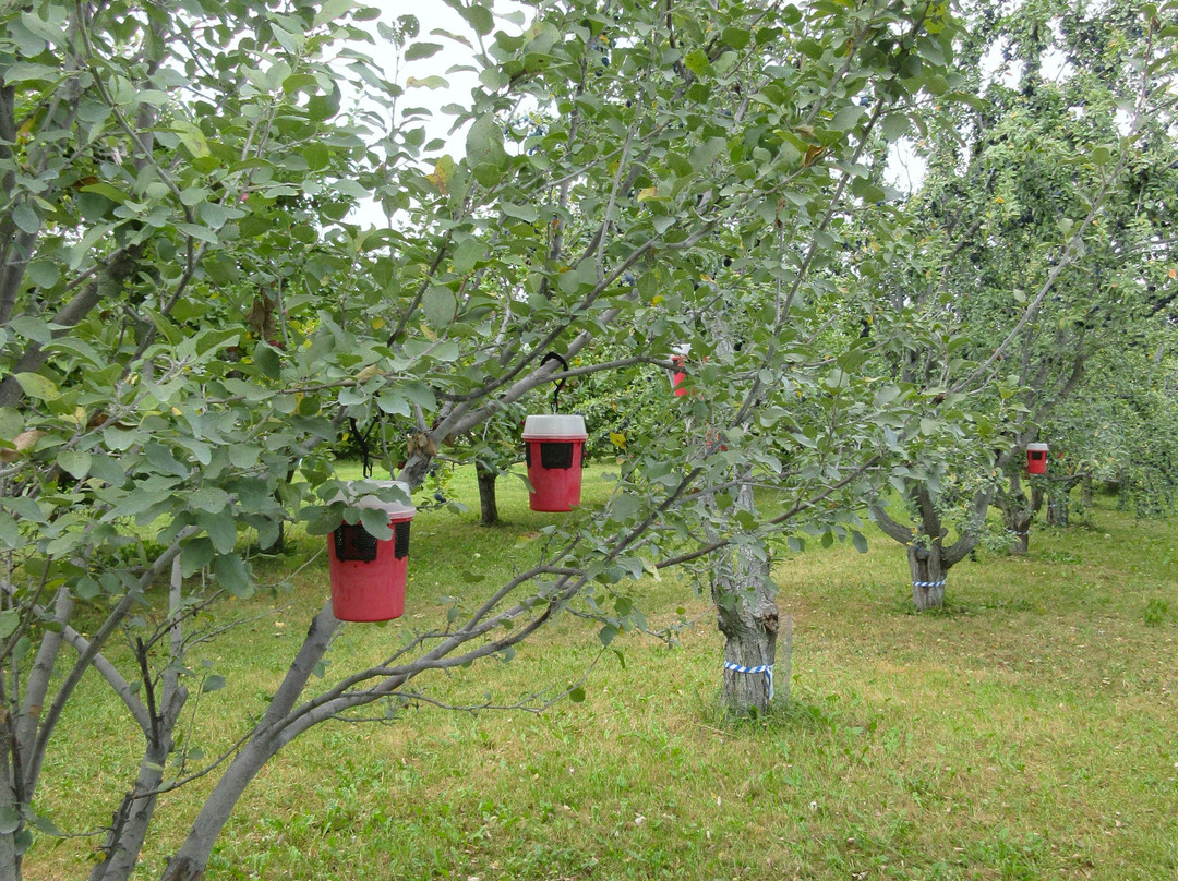 Les Vergers Du Cap-Cap-Saint-Ignace必去景点