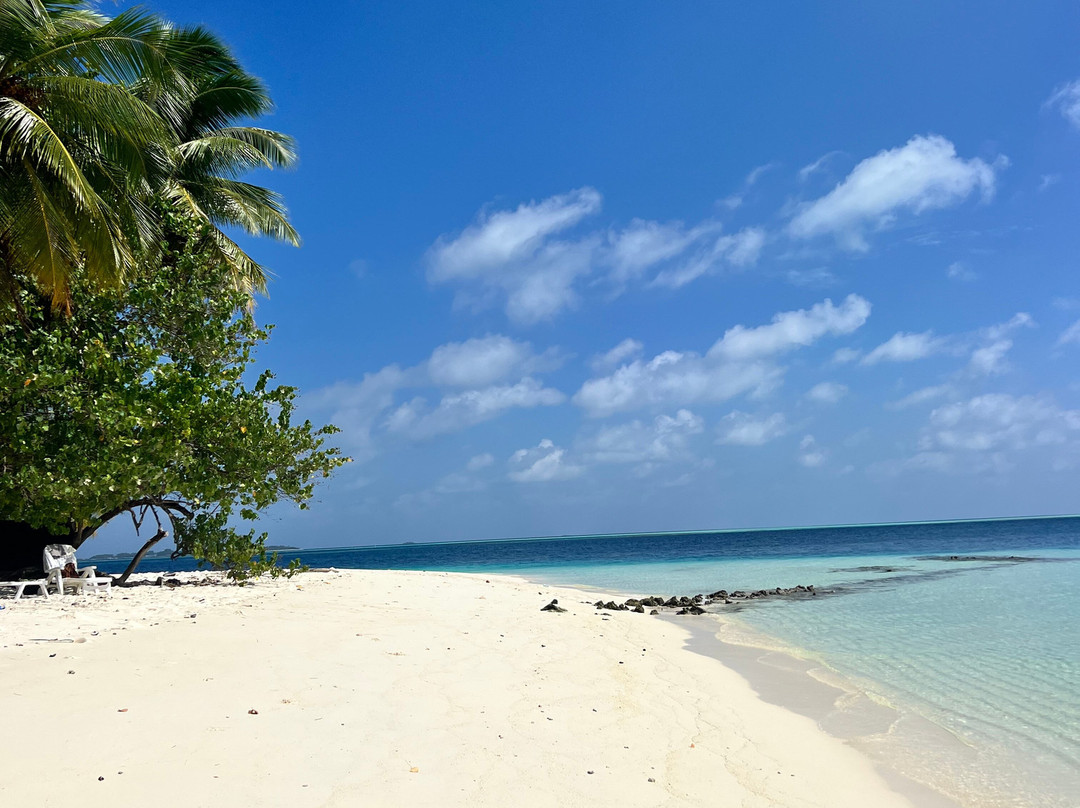 Island Life Maldives Retreat & Spa主图