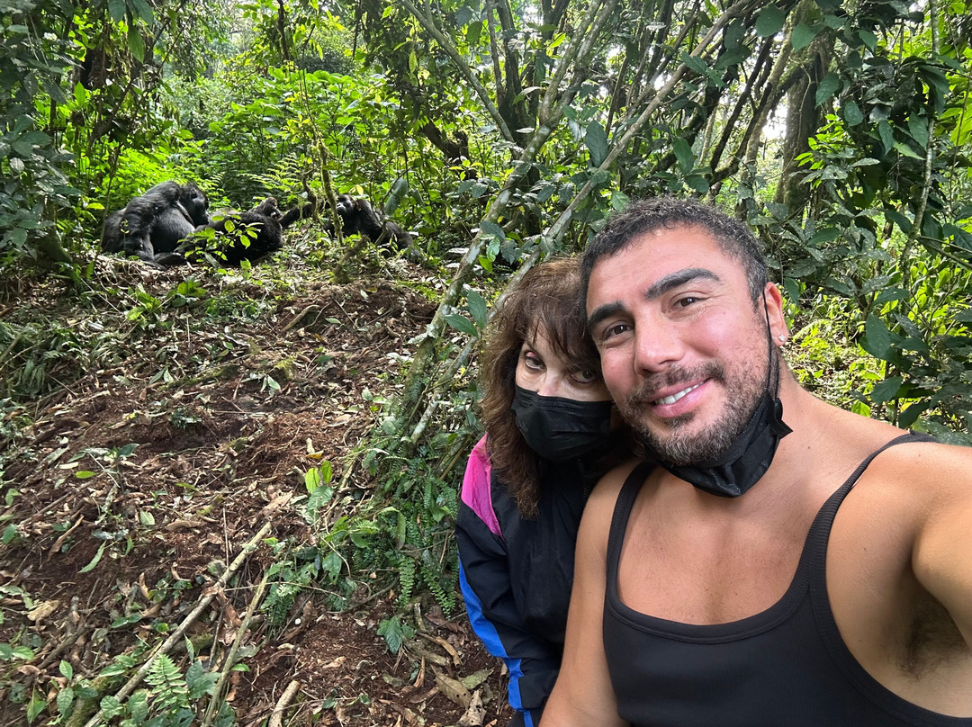 Rwanda Gorilla Trek - Day Tours景点图片