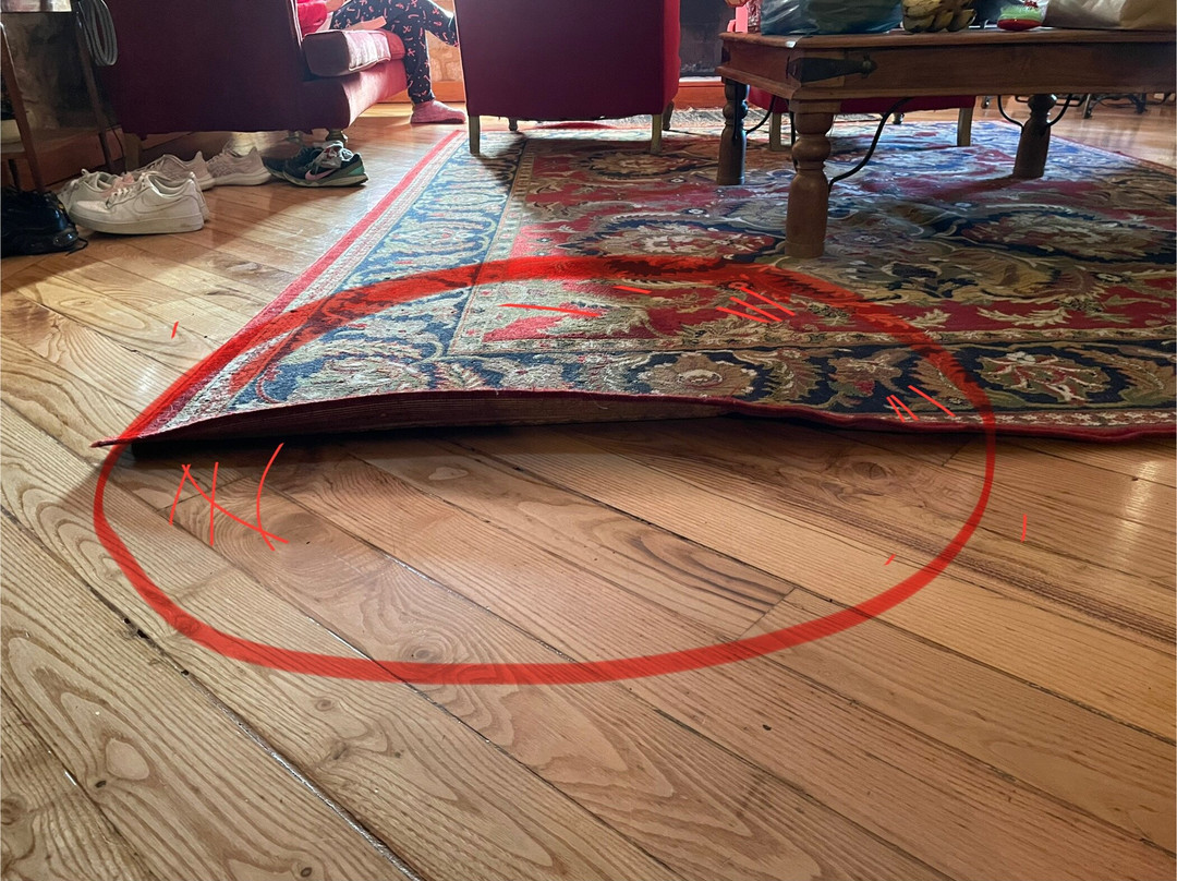 伊莱恩酒店主图