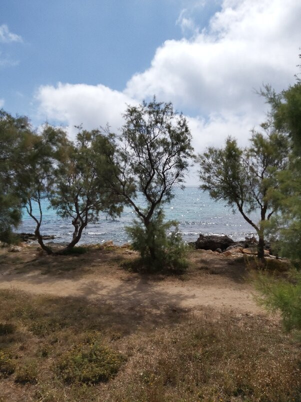 MiM Mallorca member of Meliá Collection主图