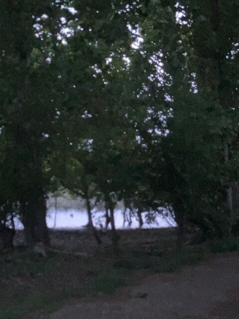 Lake Dulverton景点图片