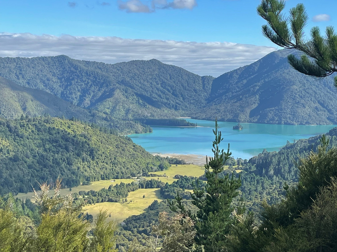 Pelorus Sound Water Taxi & Cruises-哈夫洛克必去景点