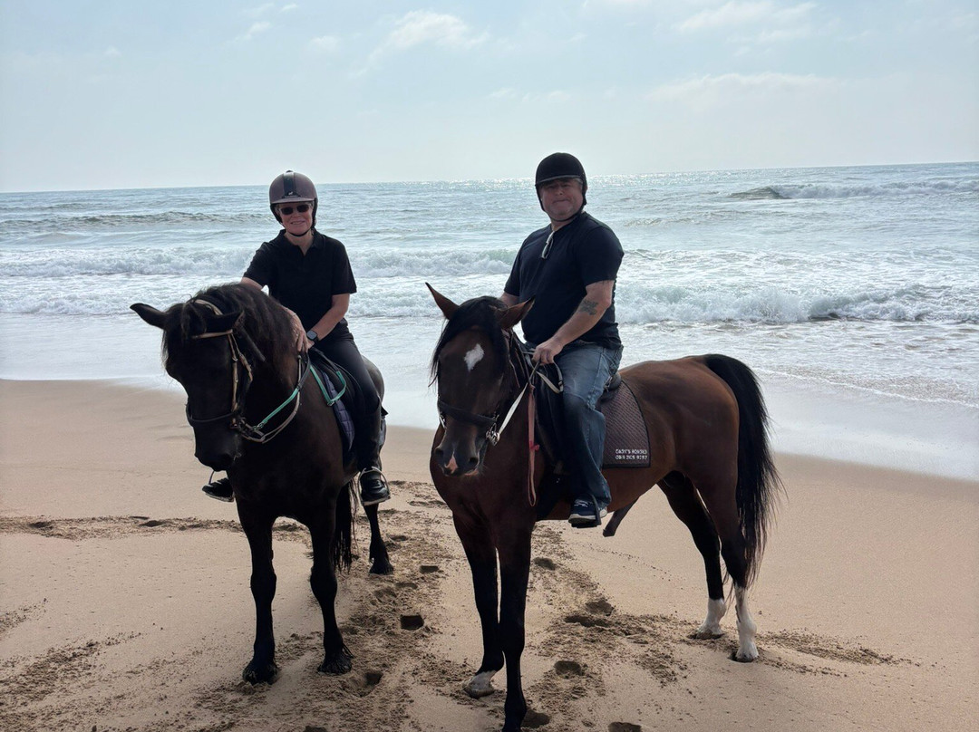 Gary's Horses景点图片