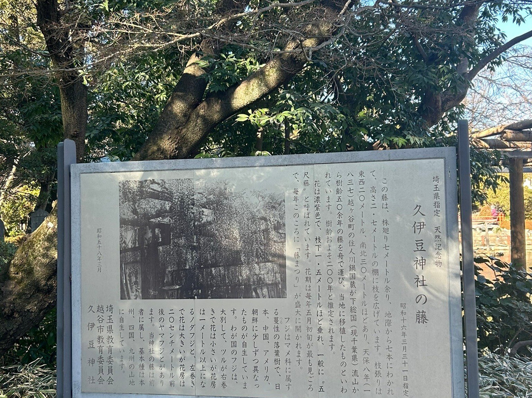 Hisaizu Shrine-越谷市必去景点