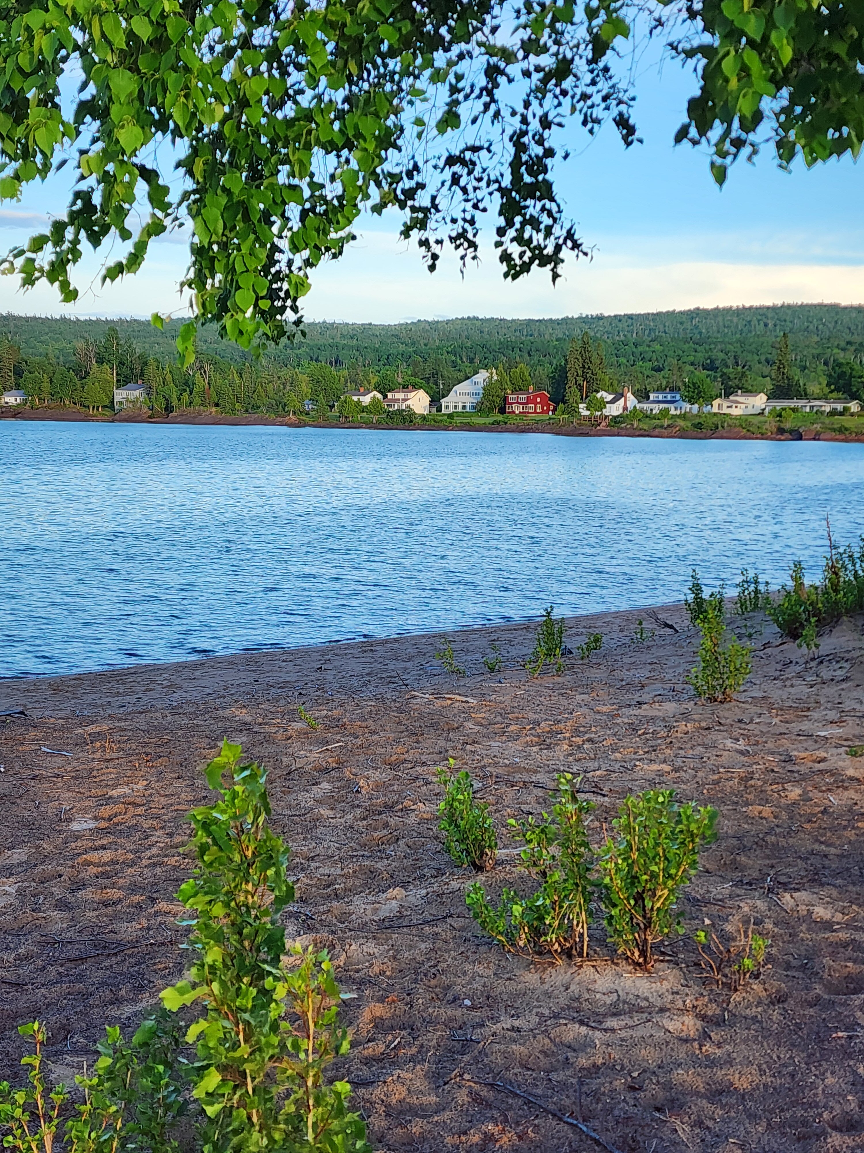 Eagle Harbor Inn-酒店景观