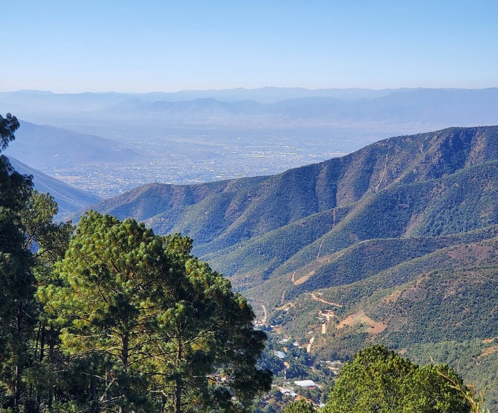 Birding Tours Oaxaca-瓦哈卡必去景点
