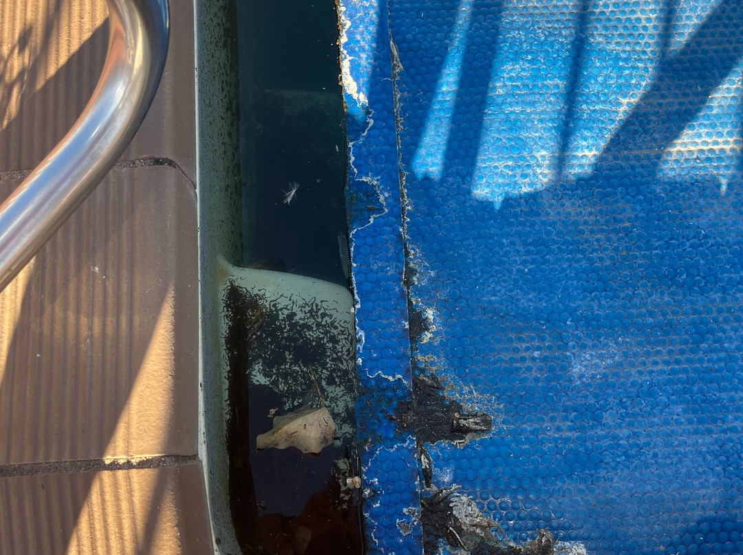 Ararat Colonial Lodge Motel主图