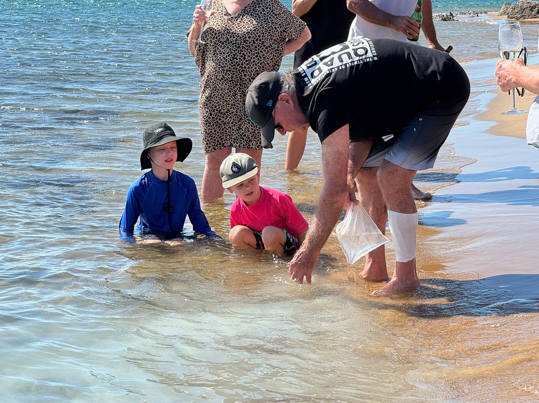 1770reef-1770镇必去景点