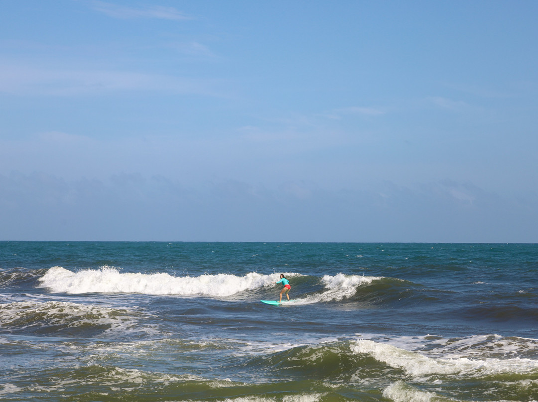 Onboard Surfschool景点图片