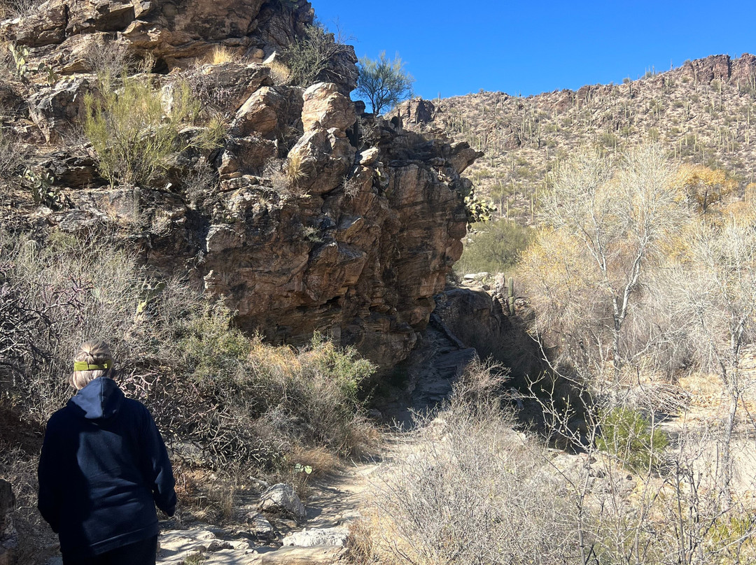 The Lodge at Ventana Canyon主图