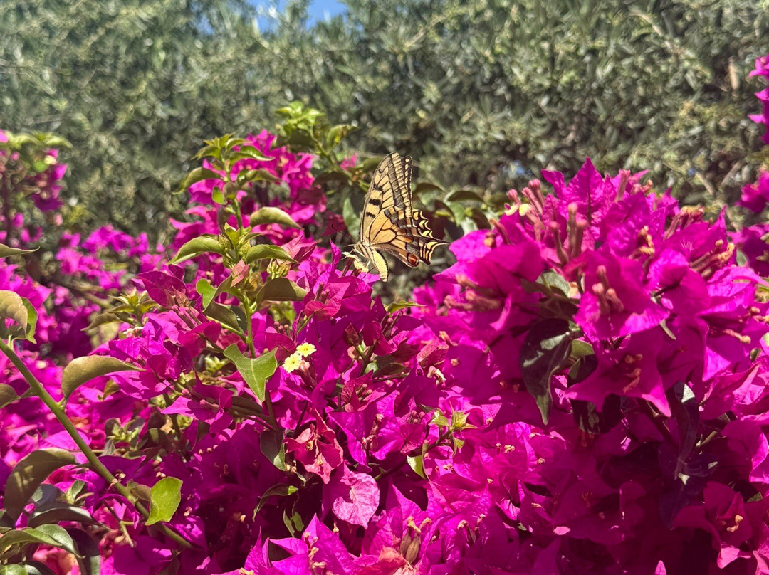 Barbara Ann Apartments主图