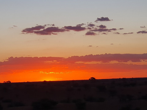 Elikya Safaris Tour-温德和克必去景点