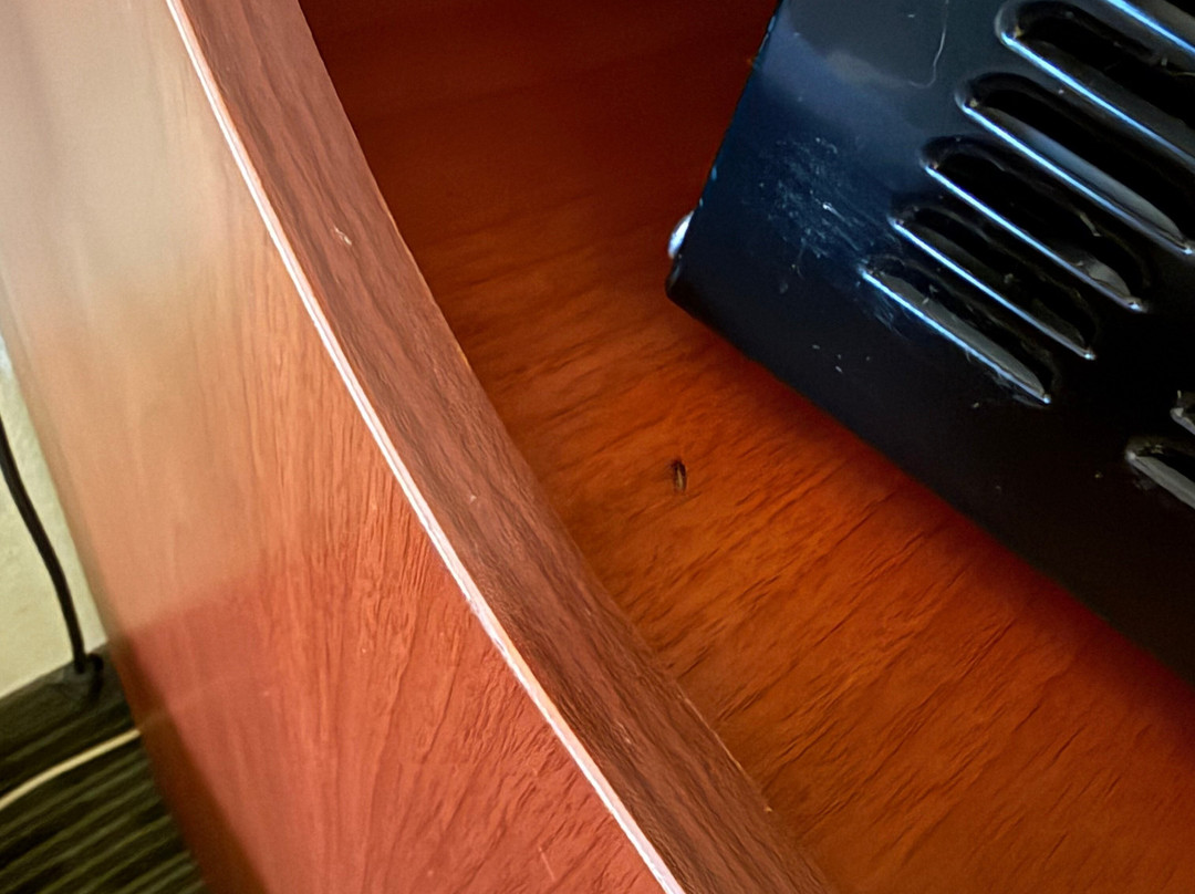 Baymont by Wyndham Sarasota主图