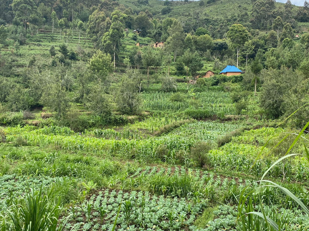 Magamba Eco-cultural Tourism-卢绍托必去景点