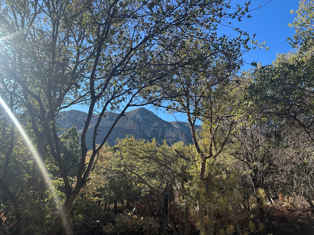 Ramsey Canyon Cabins & Bird Sanctuary主图