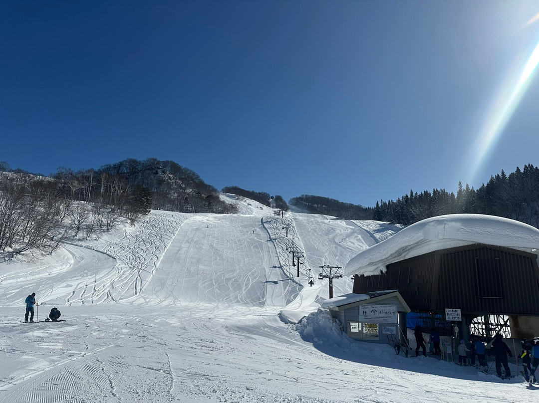 Tamanashi Onsen Ebisuya主图