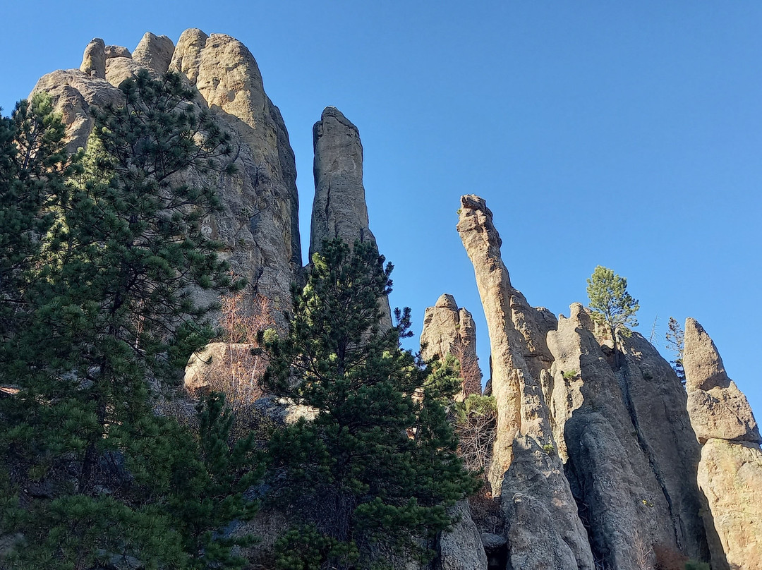 Black Hills National Forest-卡斯特必去景点