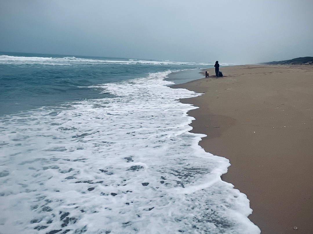 Riviera Nautic-Metung必去景点