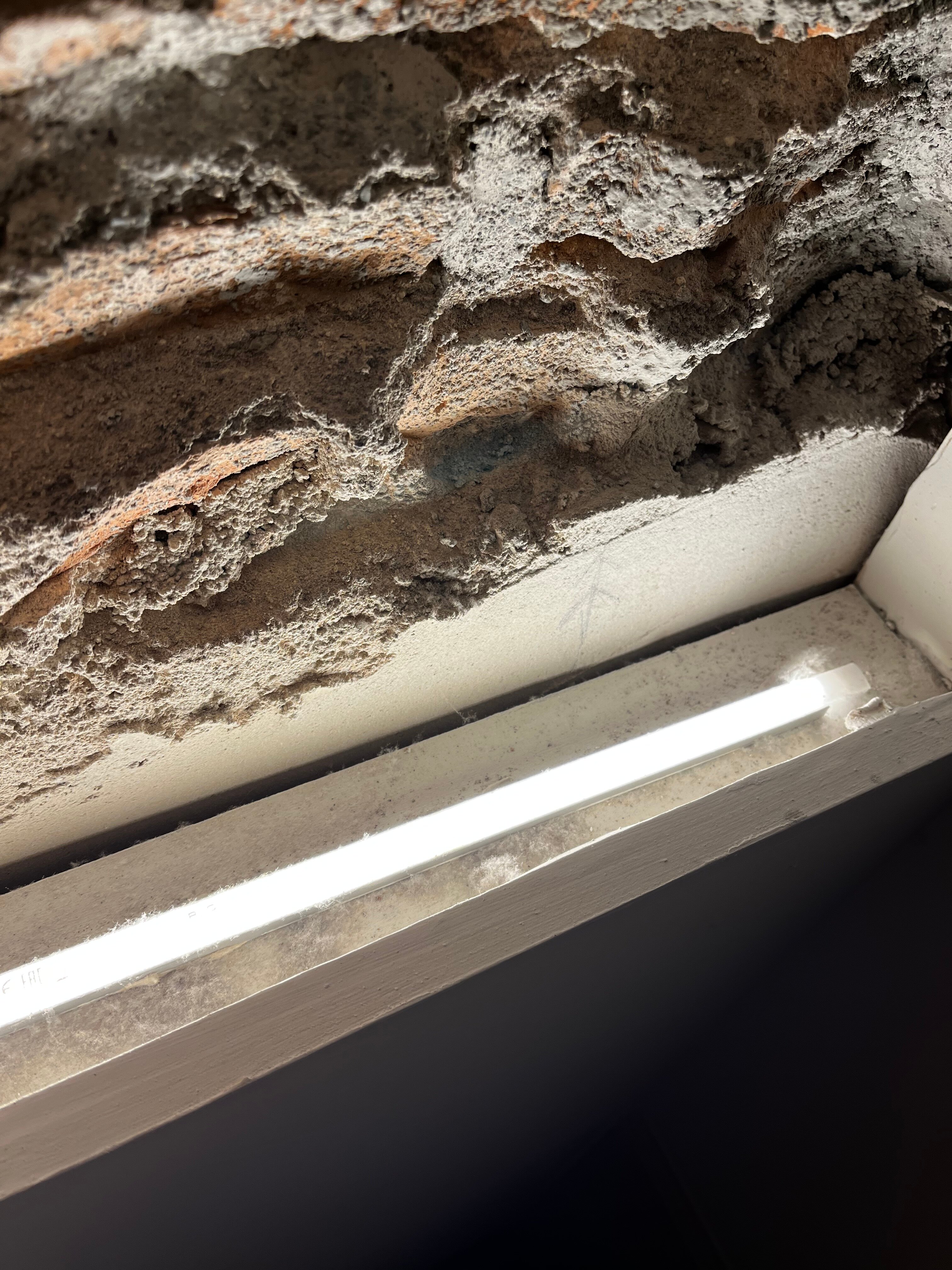 Coeo Fresca Roof Garden Signature Apartments-客卧