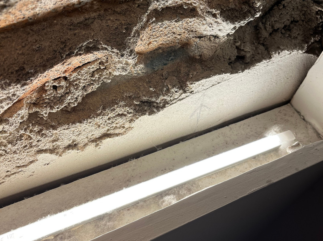 Coeo Fresca Roof Garden Signature Apartments主图