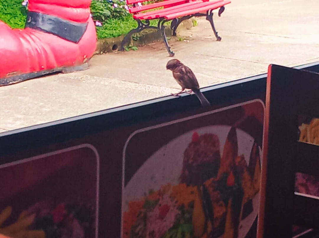 Pequena Finlandia-Penedo必去景点