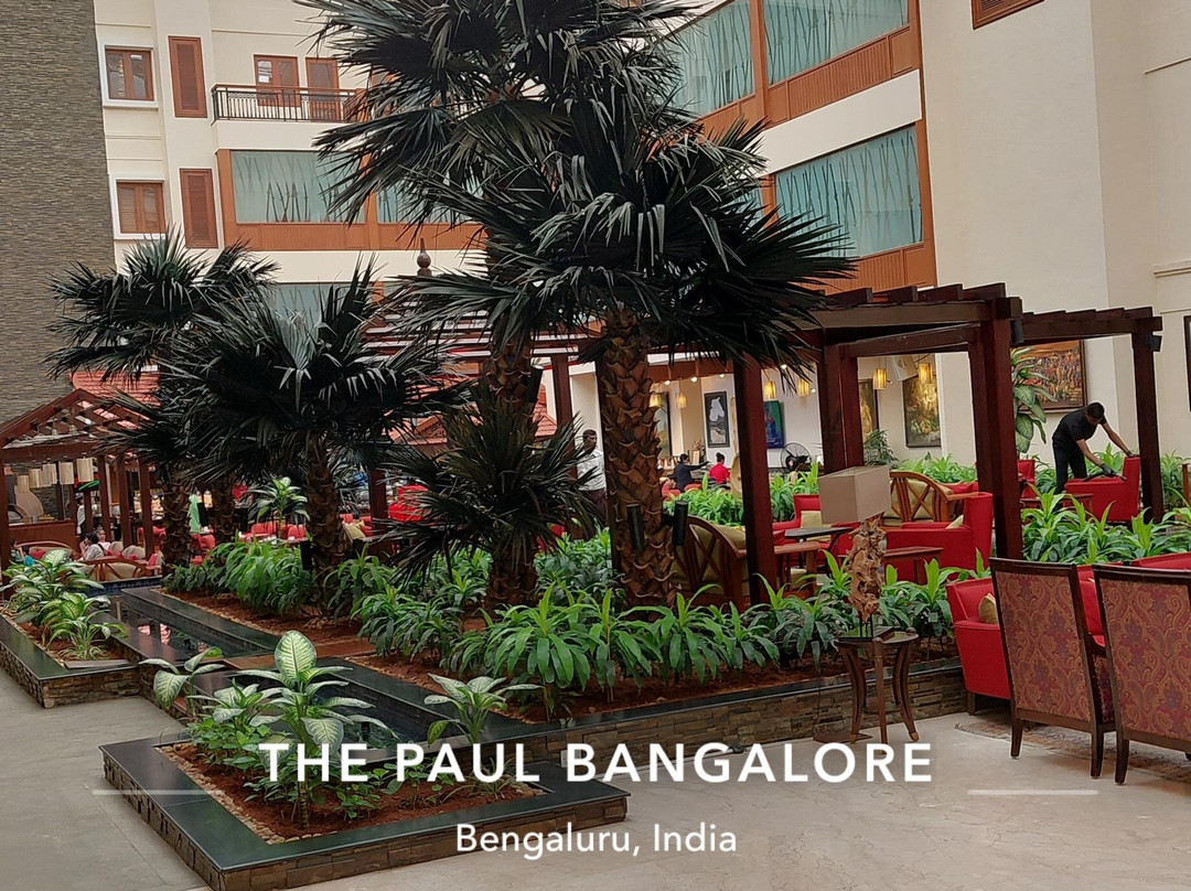 班加罗尔保罗酒店主图
