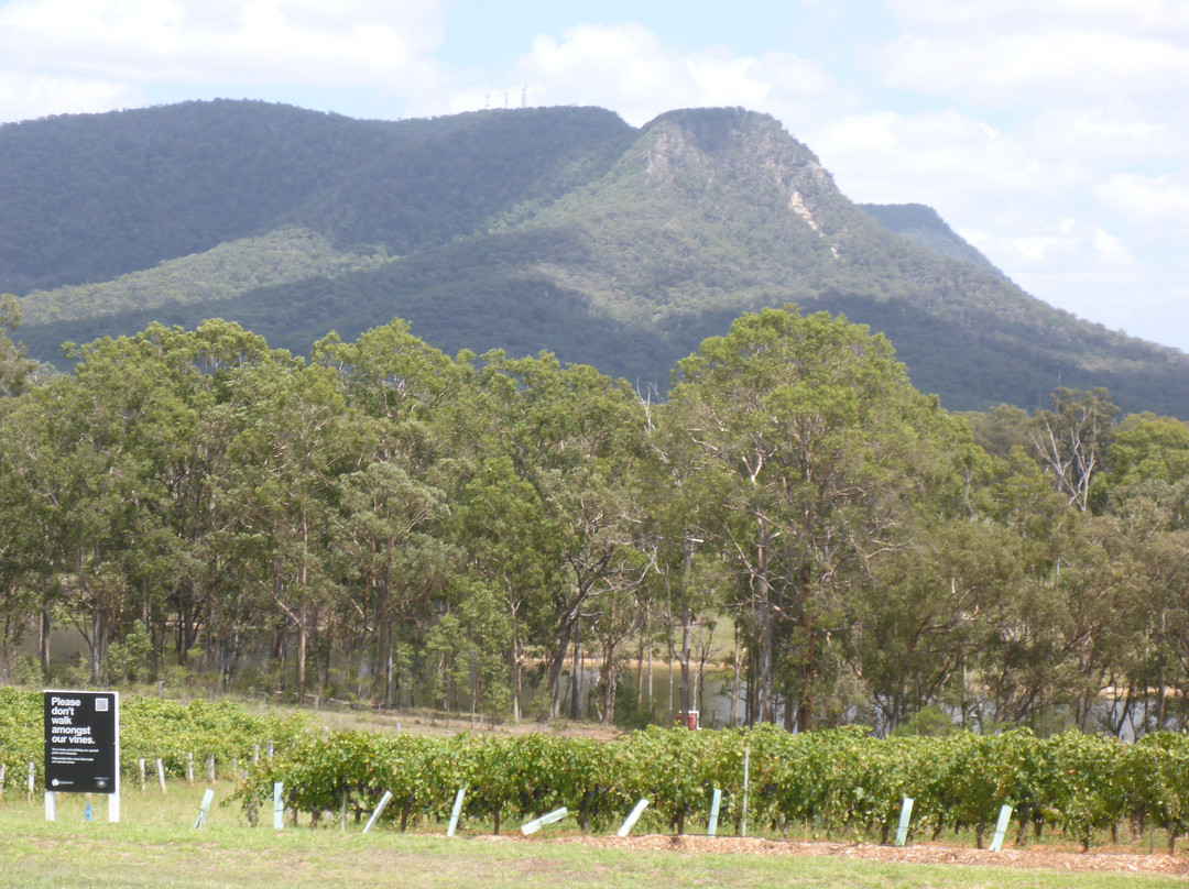 Tyrrell's Wines景点图片