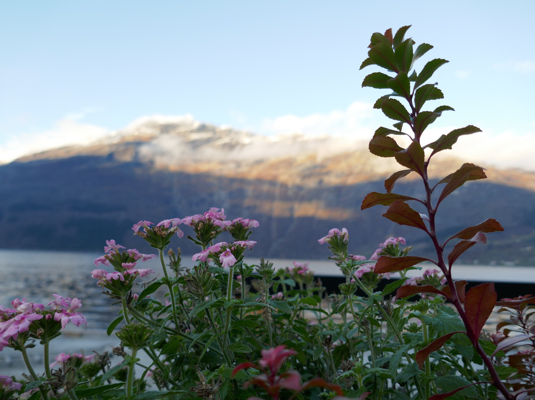 Hardanger旅游攻略图片